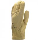 2465    BŐRKESZTYŰ, TÉLI, FINLANDE, BÉZS SZÍNMARHA/POLÁRBÉLÉSSEL_10   (G)